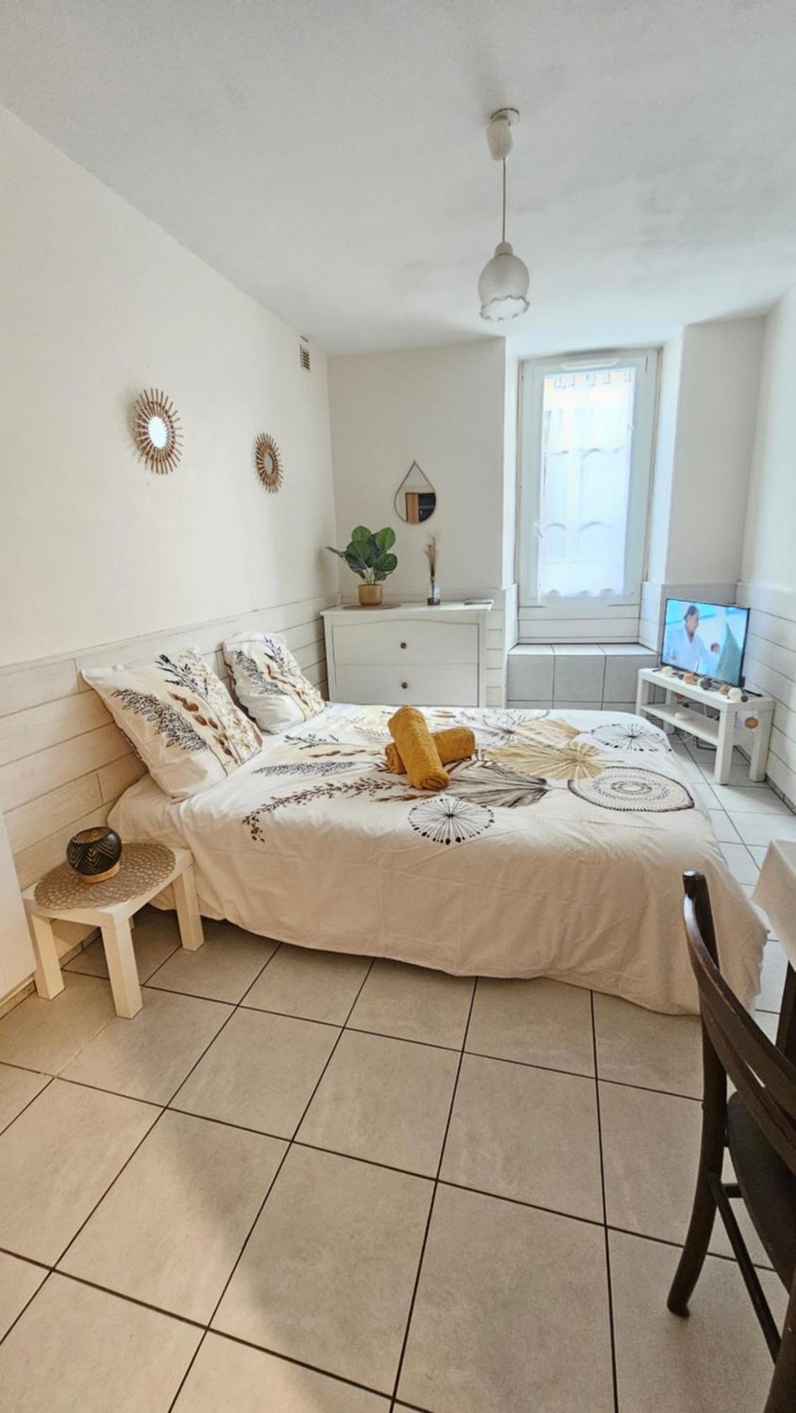 Appartamento Meuble Au Pied Du Chateau Lourdes